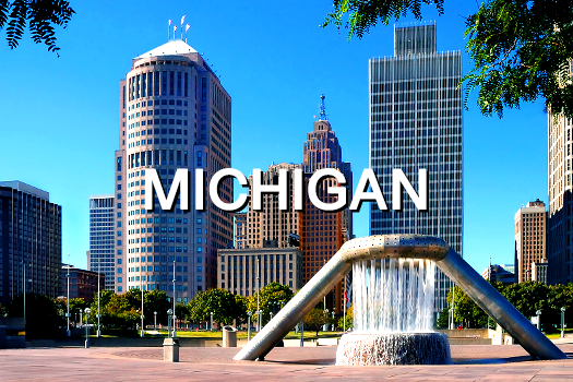 LSS-MICHIGAN-Training-Location-Module-Card-01.2